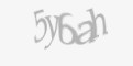 Захисний код